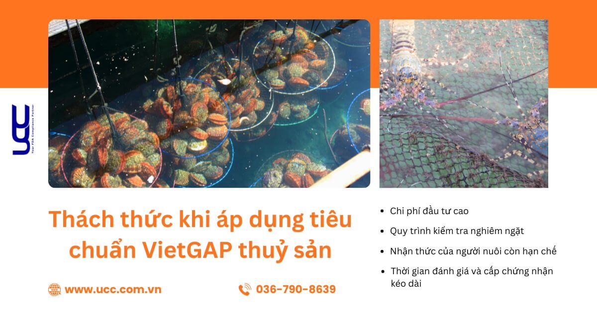 Những khó khăn mà doanh nghiệp có thể gặp phải khi áp dụng tiêu chuẩn VietGAP thuỷ sản