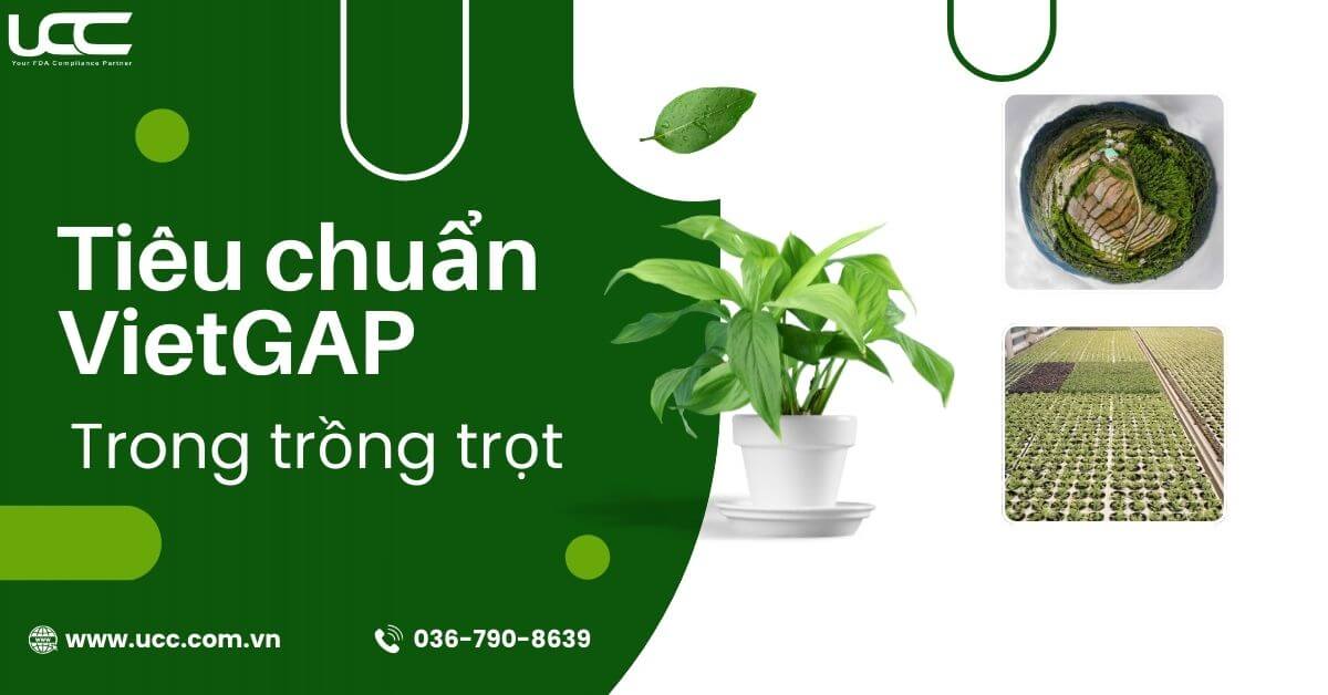 Tiêu chuẩn VietGAP trồng trọt