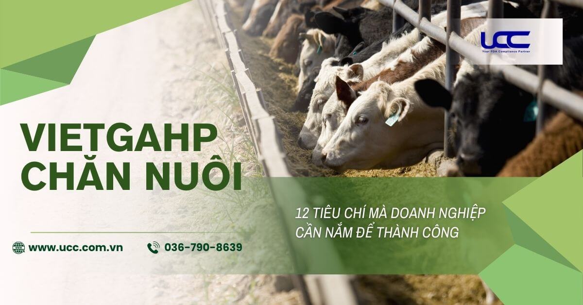 12 yêu cầu của tiêu chuẩn VietGAHP trong chăn nuôi