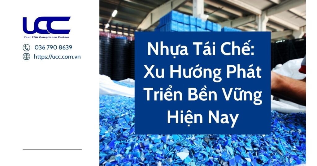 Nhựa Tái Chế: Xu Hướng Phát Triển Bền Vững Hiện Nay