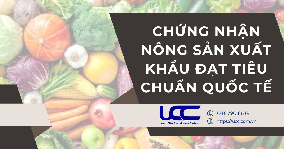 Chứng nhận nông sản xuất khẩu đạt tiêu chuẩn quốc tế
