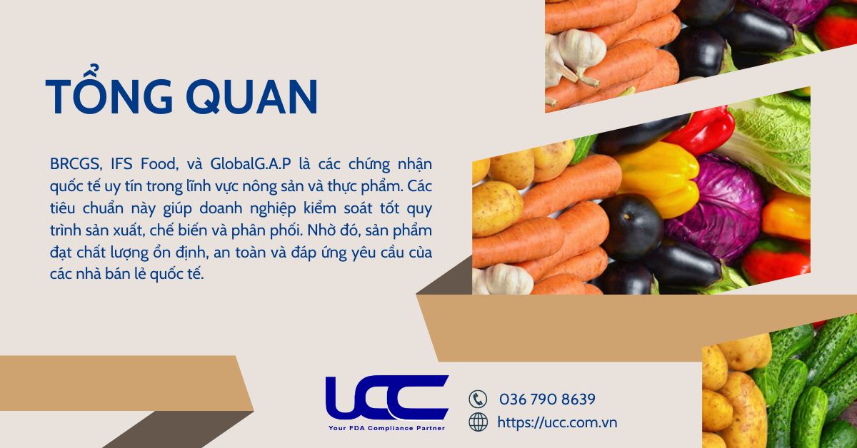 Tổng quan về các chứng nhận nông sản xuất khẩu