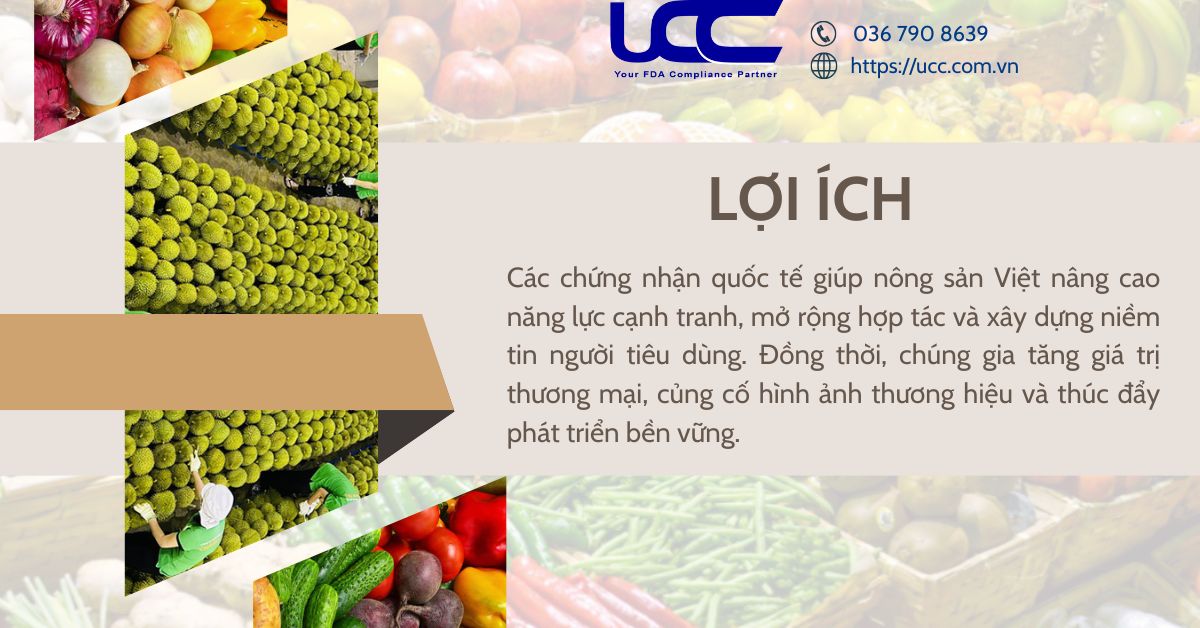 Lợi ích khi doanh nghiệp đạt chứng nhận nông sản xuất khẩu