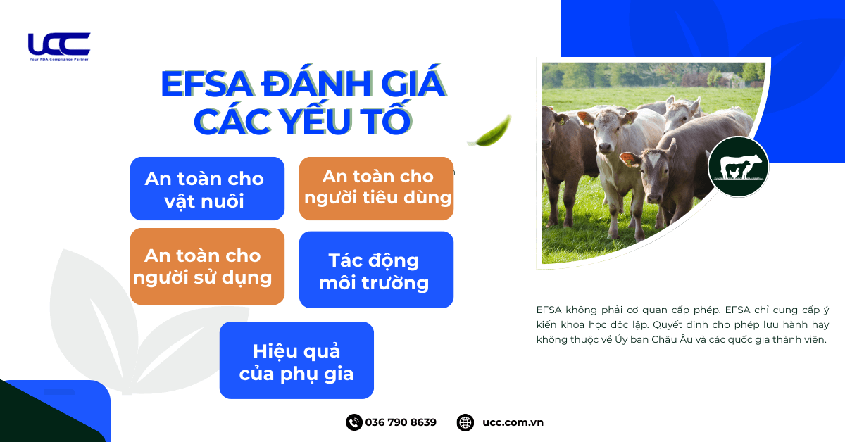 Vai trò của EFSA trong đánh giá phụ gia thực phẩm chăn nuôi