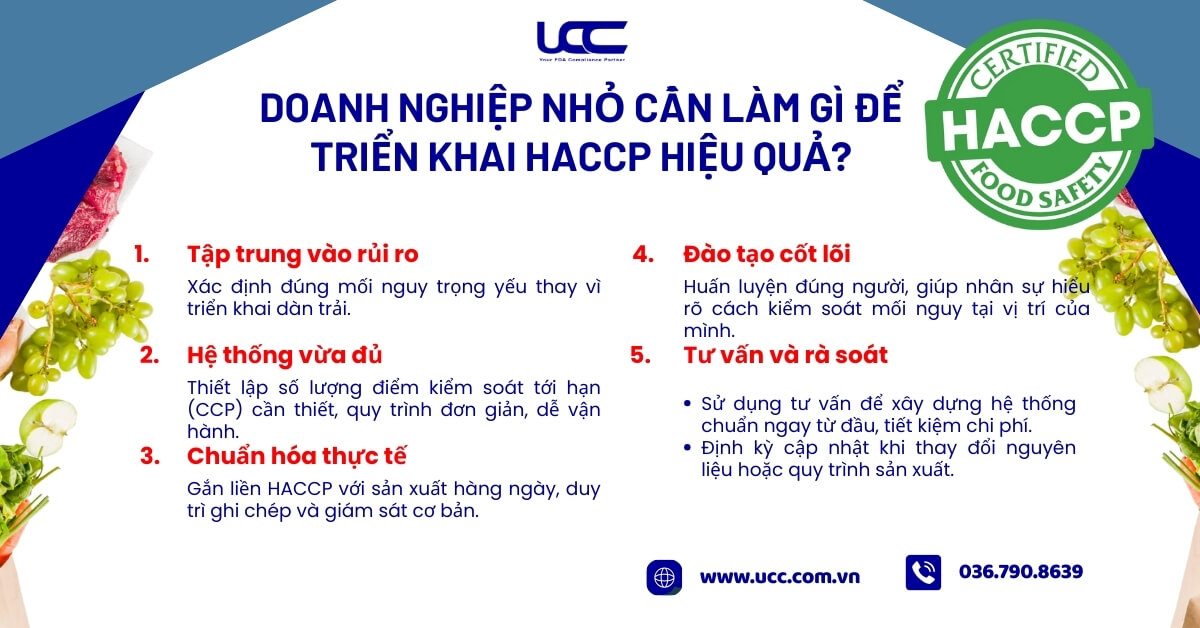 Doanh nghiệp nhỏ cần làm gì để triển khai HACCP hiệu quả?
