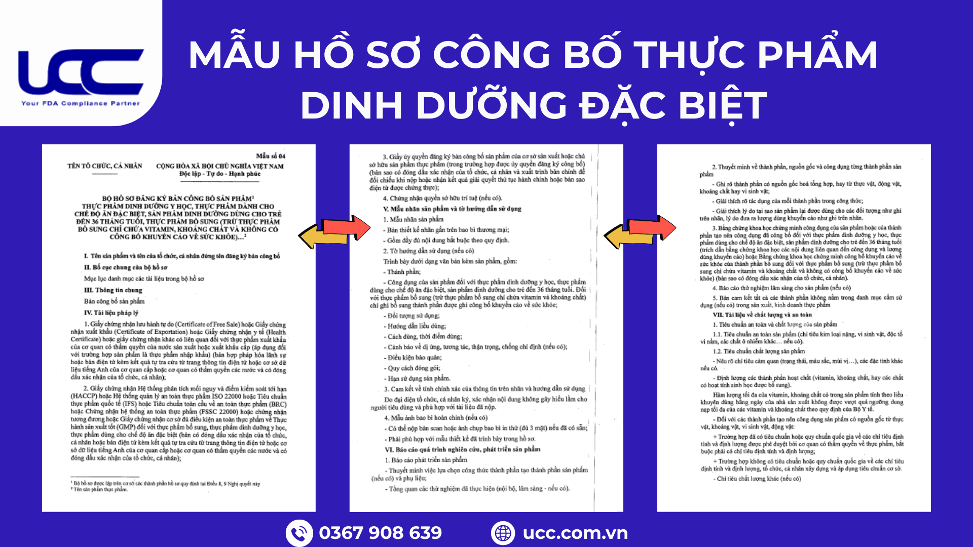 Mẫu hồ sơ công bố thực phẩm dinh dưỡng đặc biệt (Mẫu 04)
