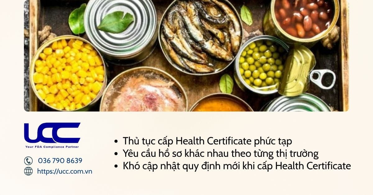 Các vấn đề thường gặp