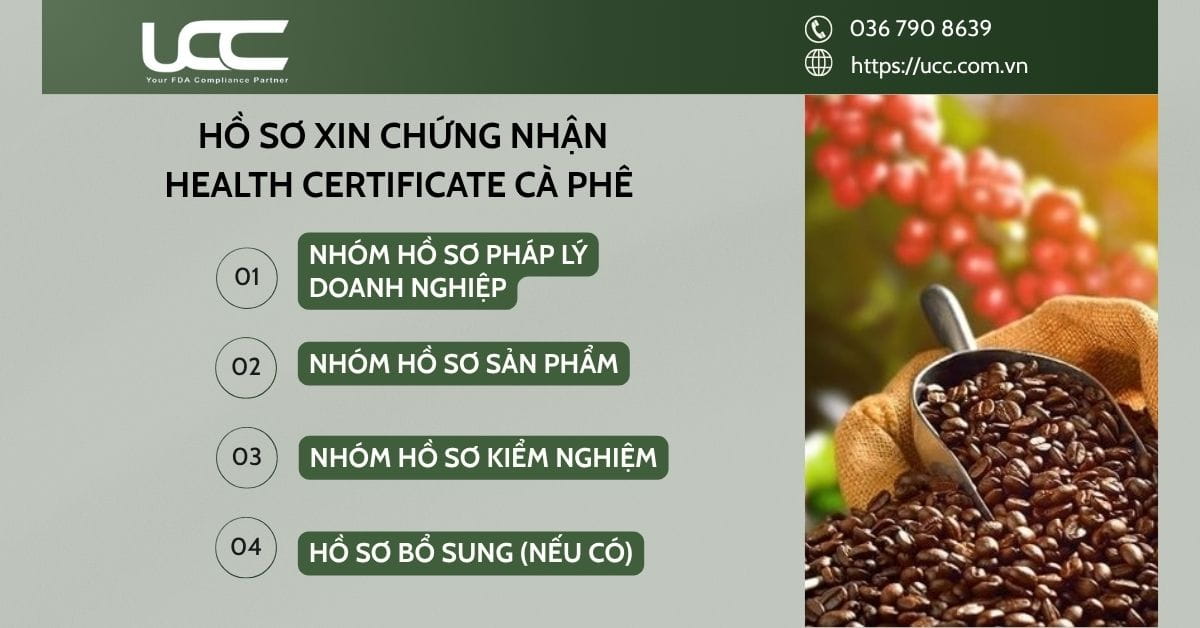 Các nhóm hồ sơ cần chuẩn bị