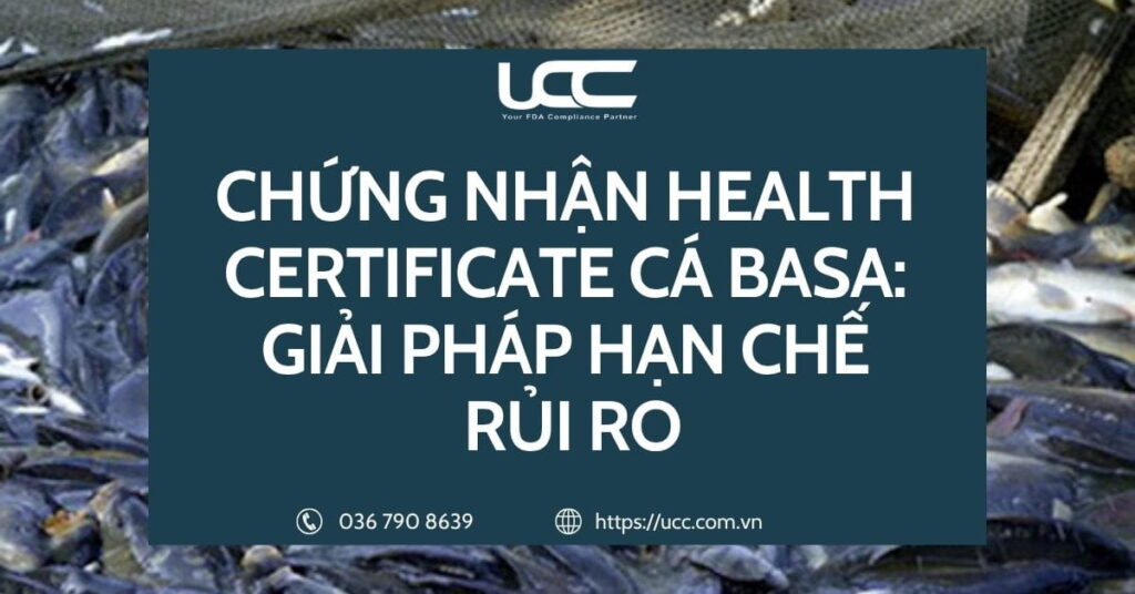 Chứng nhận Health Certificate cá basa: Giải pháp hạn chế rủi ro