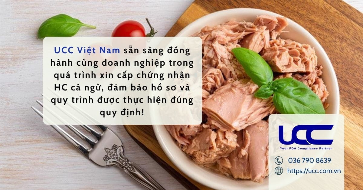 UCC Việt Nam