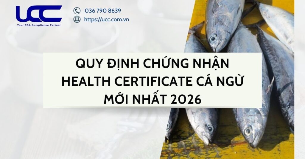 Quy định chứng nhận Health Certificate cá ngừ mới nhất 2026