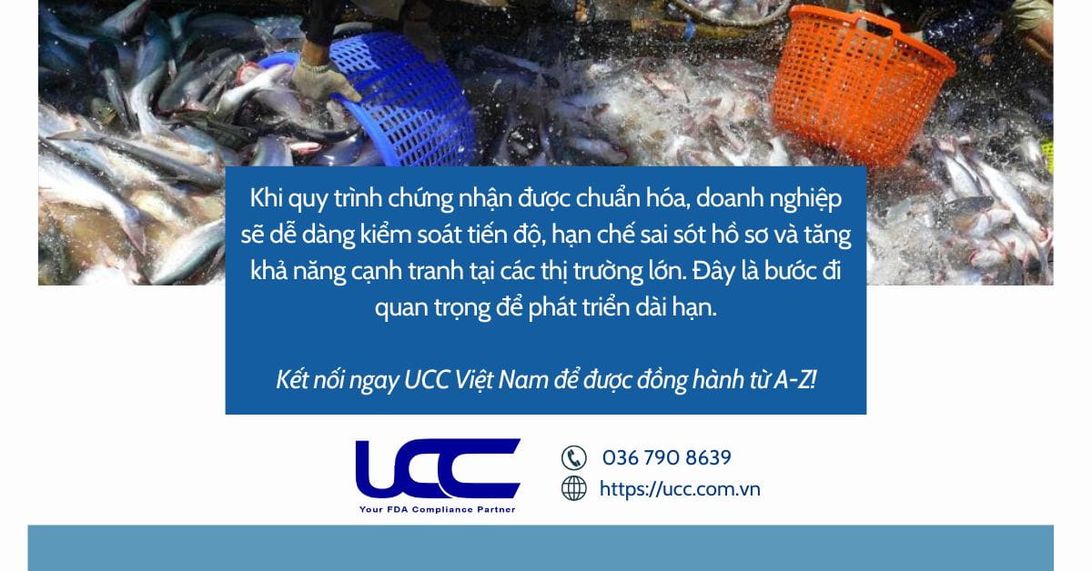UCC Việt Nam là đối tác uy tín của doanh nghiệp!