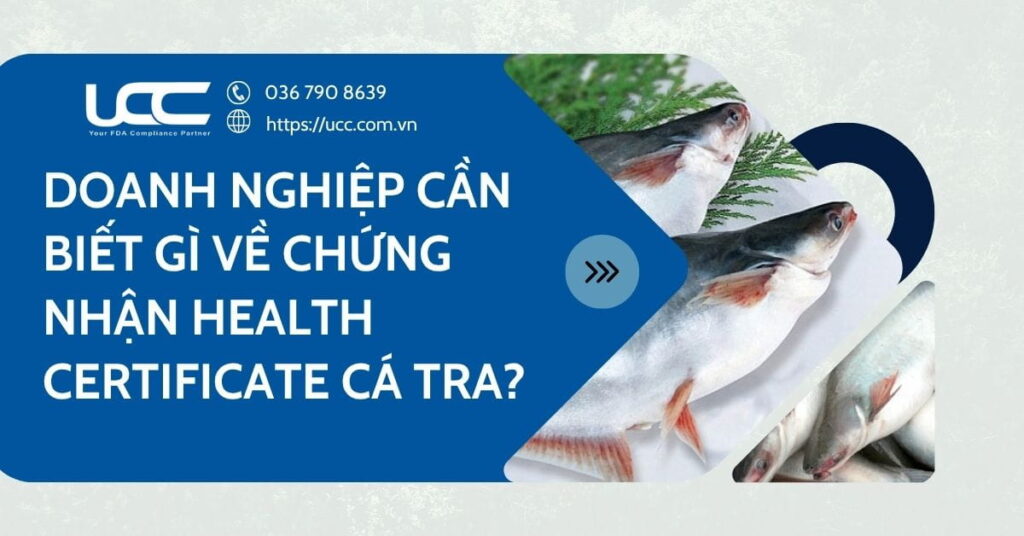 Doanh nghiệp cần biết gì về chứng nhận Health Certificate cá tra?