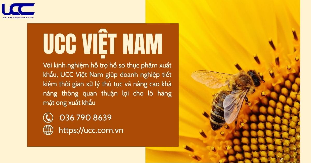 UCC Việt Nam