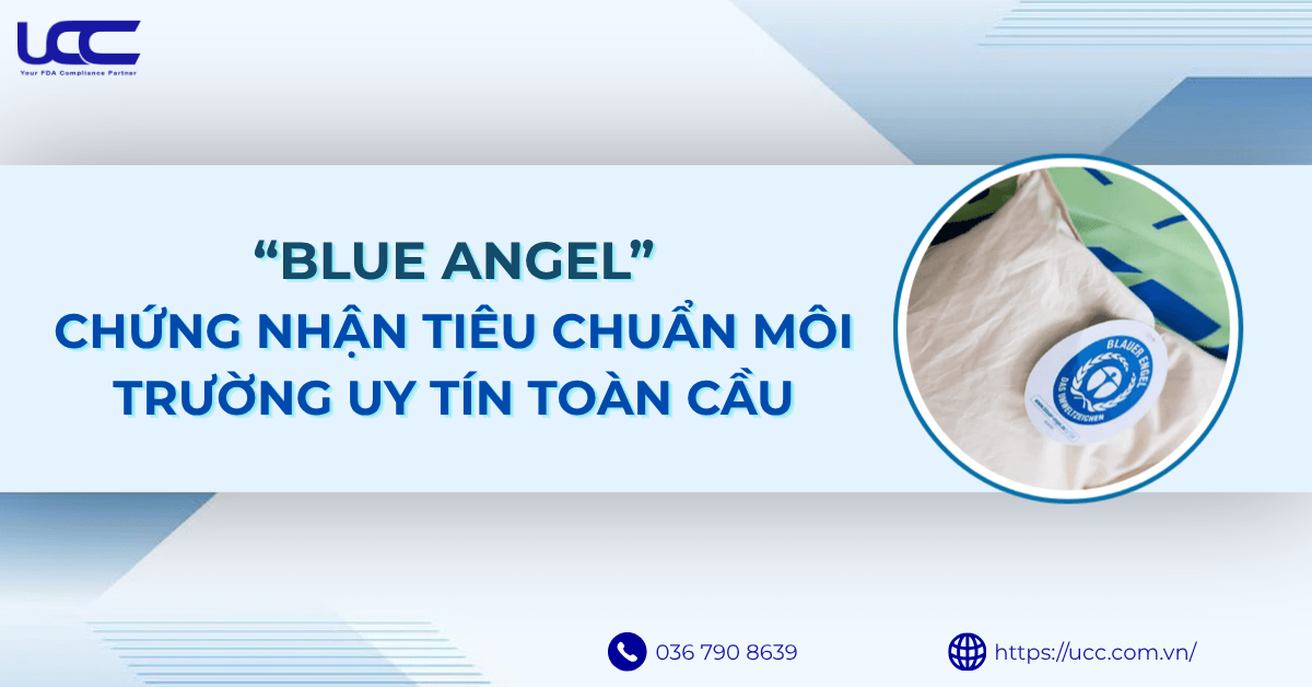 BLUE ANGEL: CHỨNG NHẬN TIÊU CHUẨN MÔI TRƯỜNG UY TÍN TOÀN CẦU