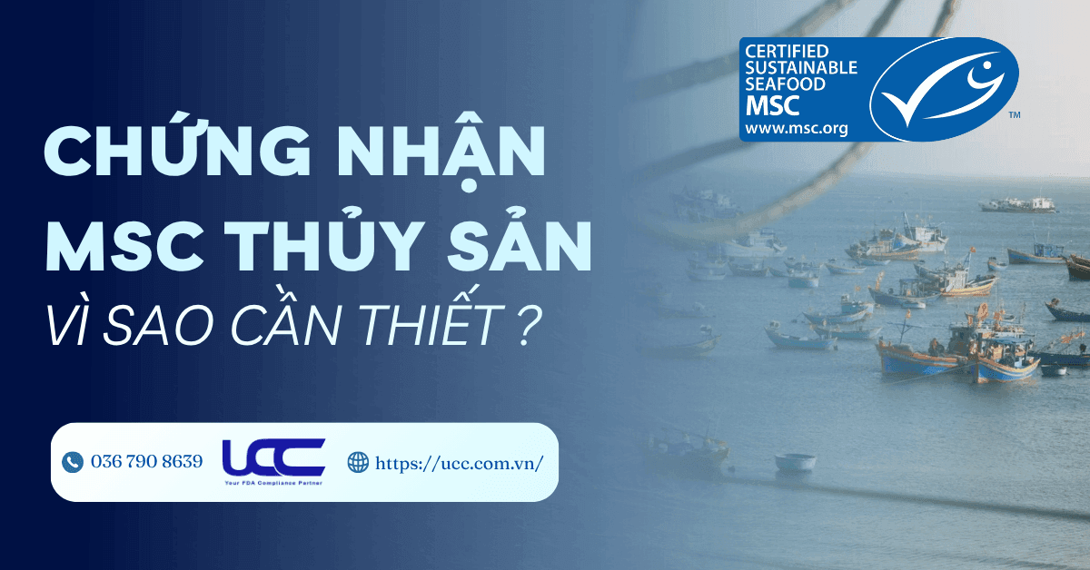 Chứng Nhận MSC Thủy Sản Vì Sao Cần Thiết?