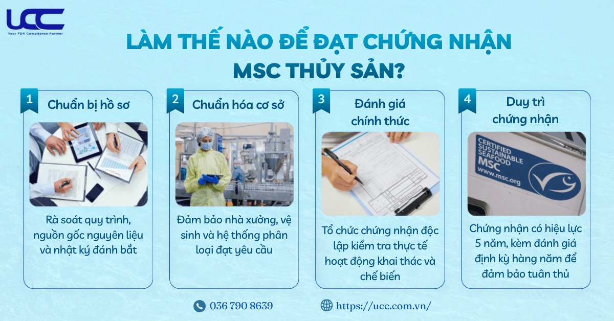 Quy trình đạt chứng nhận MSC thủy sản.