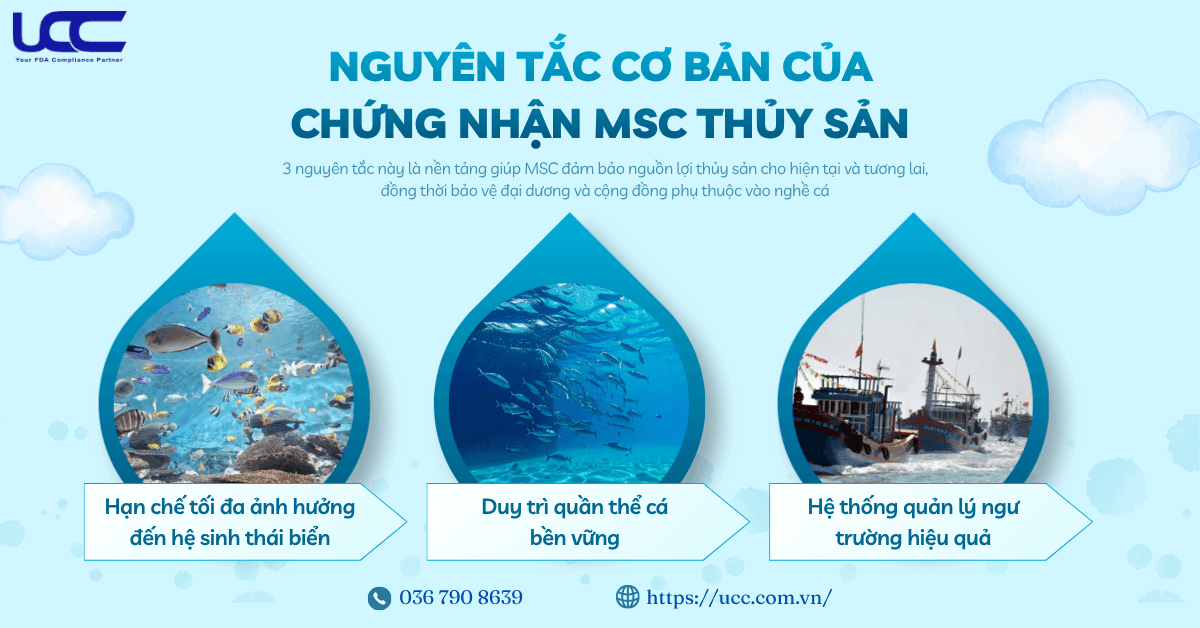 Ba nguyên tắc cốt lõi của chứng nhận MSC thủy sản.