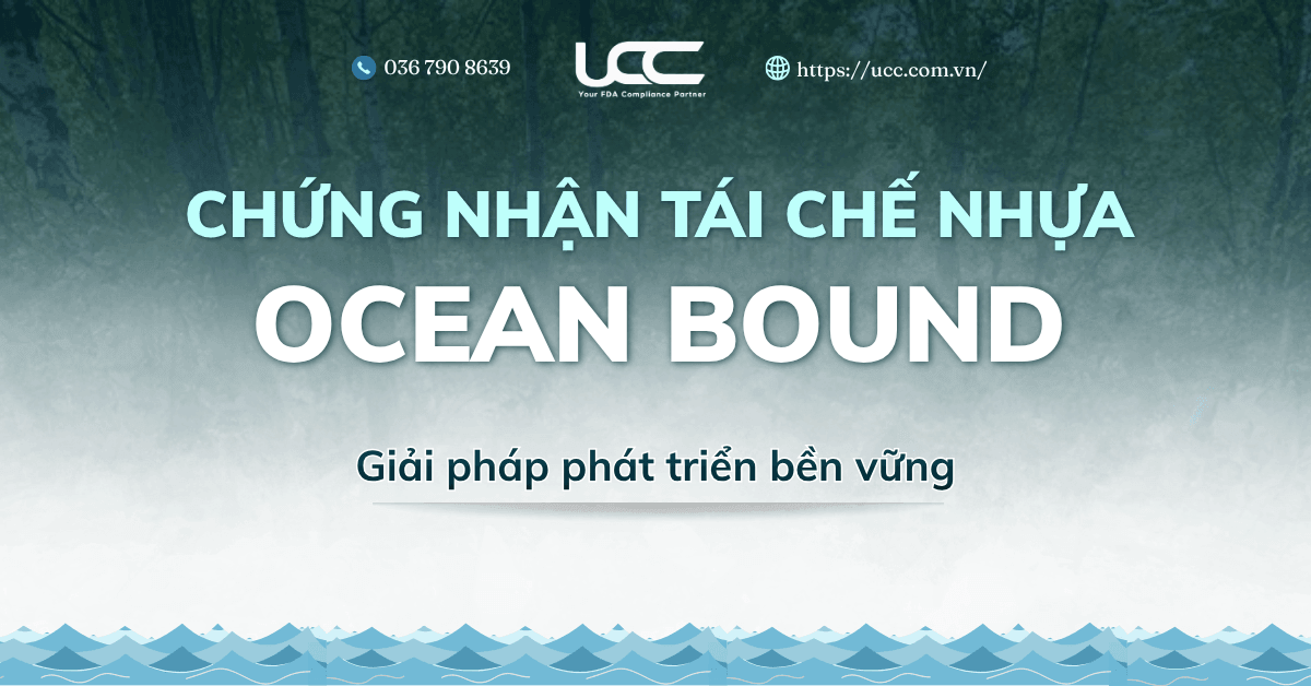 Chứng nhận tái chế nhựa Ocean Bound: Giải pháp xanh