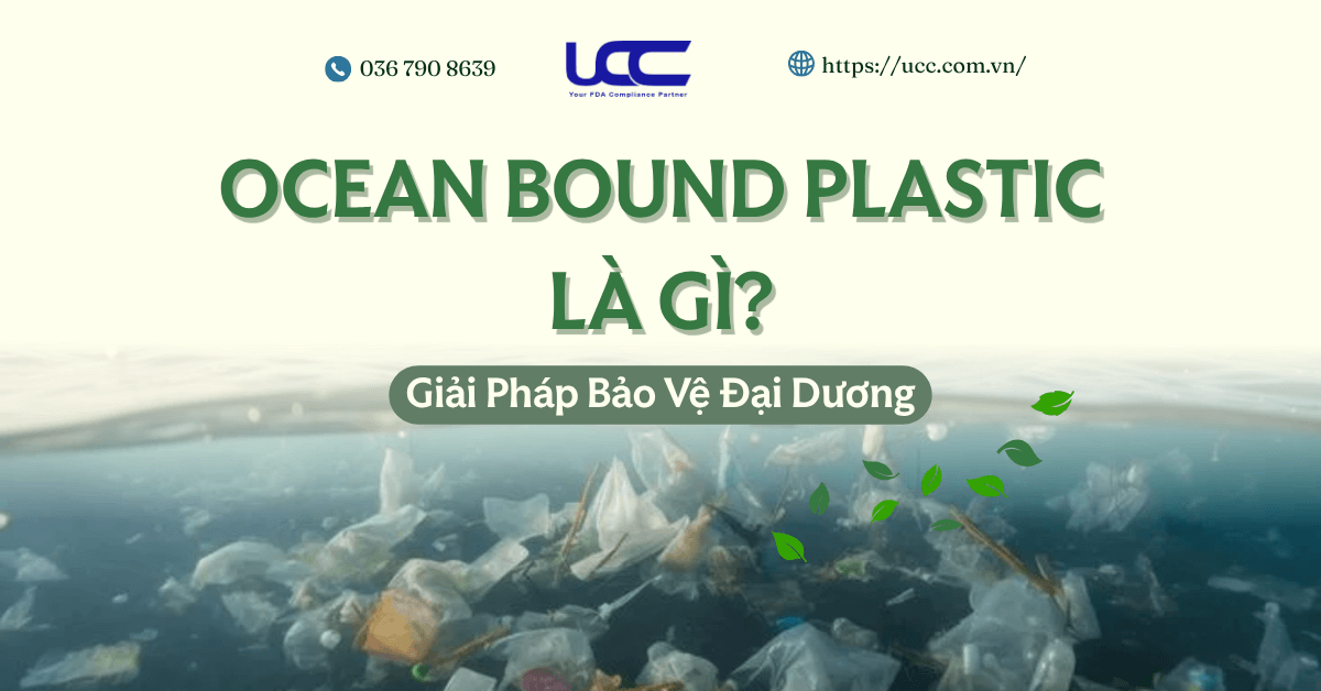 Ocean Bound Plastic Là Gì? Giải Pháp Bảo Vệ Đại Dương