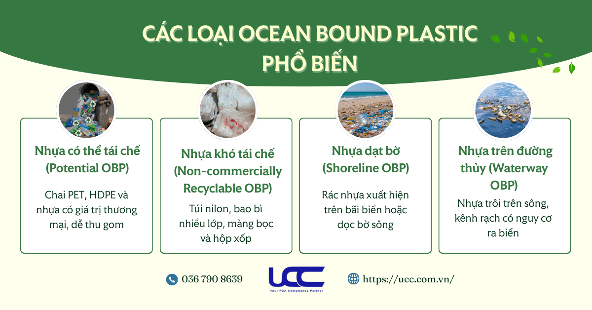 Các loại OBP phổ biến.