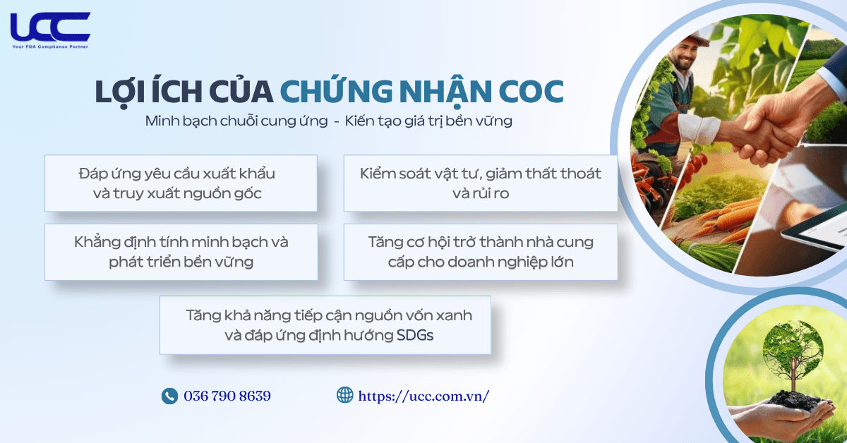 Những giá trị chiến lược và lợi thế cạnh tranh của CoC.
