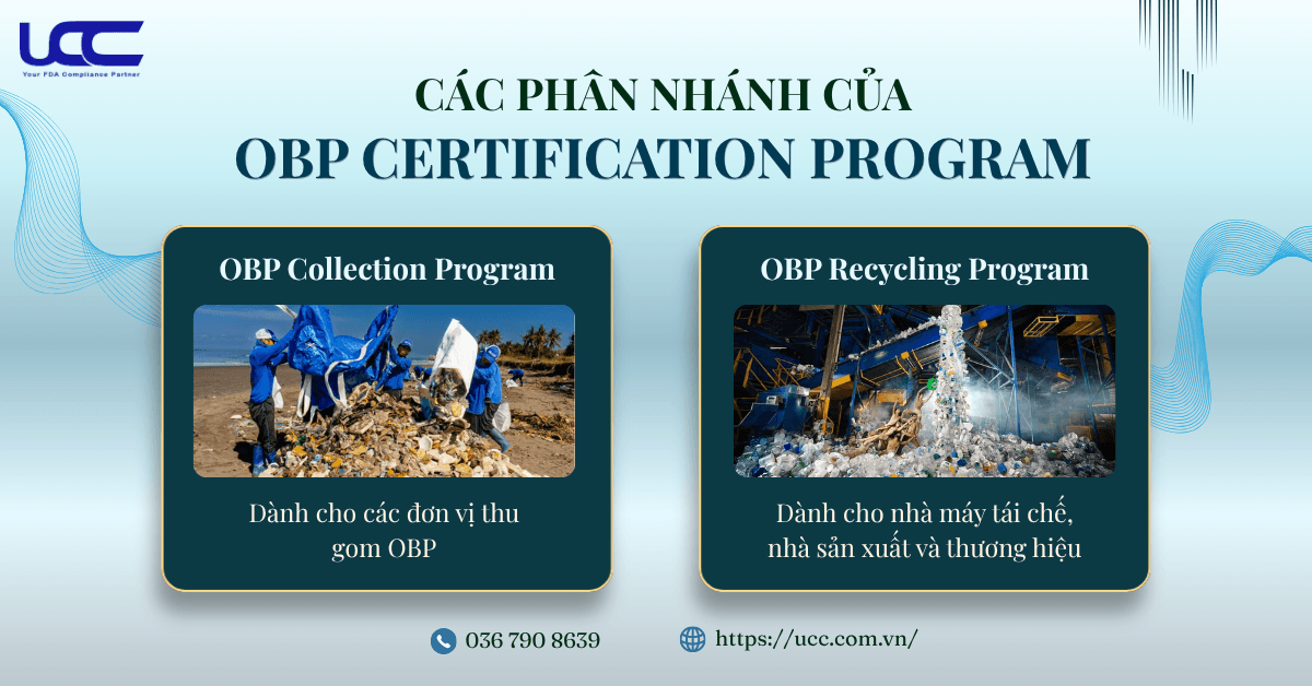 Các phân nhánh OBP Certification Program.