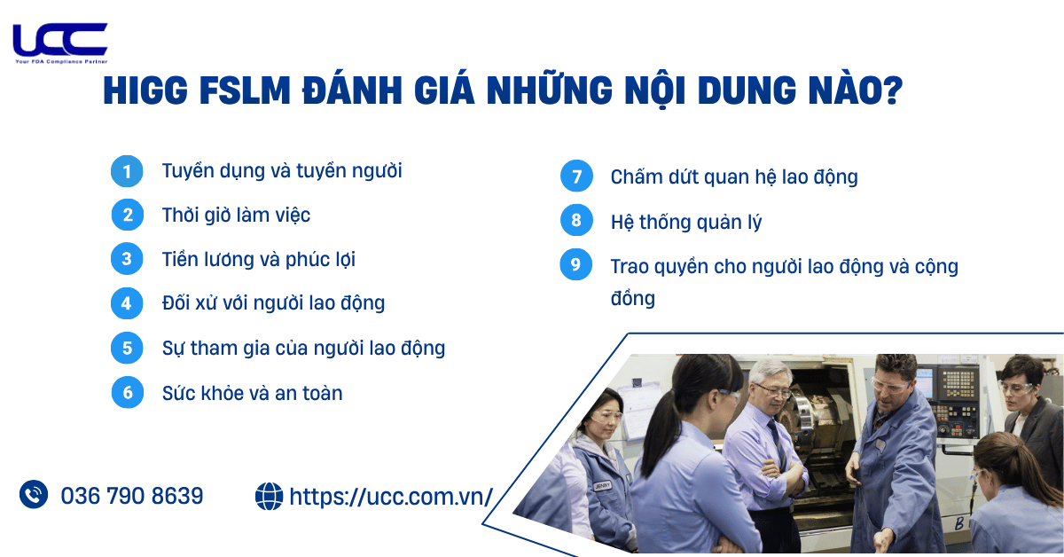 Đánh giá HIGG FSLM cần những nội dung nào